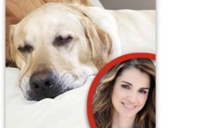 حقيقة مقال تعافي كلب الملكة رانيا بعد عملية جراحية