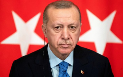 حقيقة إعلان أردوغان عن لبن الحمير التركي