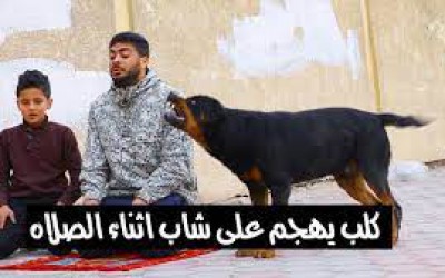 حقيقة فيديو ‏إسرائيلي يطلق كلبه على فلسطيني وابنه لمنعهم من الصلاة