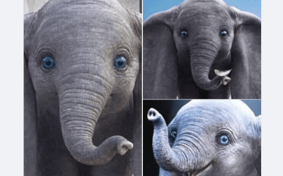 حقيقة صور أجمل فيل في العالم