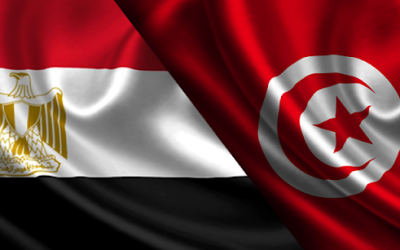 تفاصيل مشروع القرار التونسي في مجلس الأمن حول سد النهضة