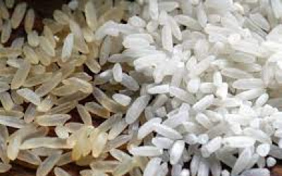 حقيقة انتشار أرز بلاستيك صيني
