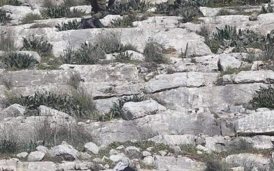 حقيقة صورة الإسرائيليين الذين يفرون من الفلسطيني قاذف الحجارة