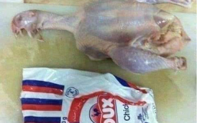 صورة الدجاجة غير المذبوحة "قديمة" وليست برازيلية