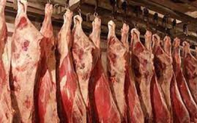 قبل عيد الأضحى.. تطور أسعار اللحوم في مصر