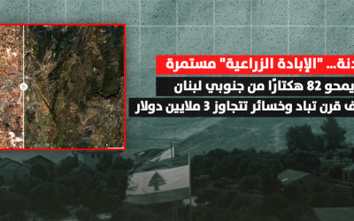 الاحتلال يمحو 82 هكتارًا من جنوبي لبنان..أشجار بعمر نصف قرن تباد وخسائر تتجاوز 3 ملايين دولار