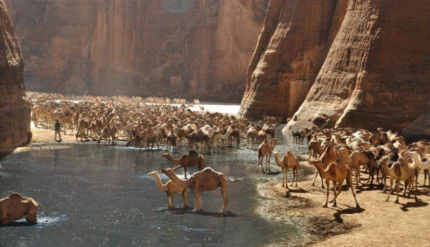 حقيقة صور محمية وادي الجمال في مصر