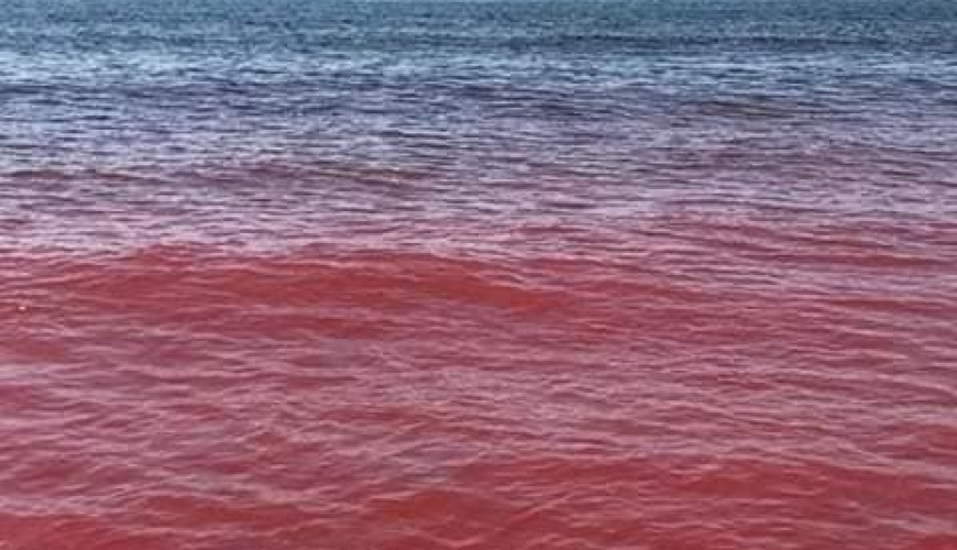 حقيقة انتشار الدماء في مياه مضيق هرمز