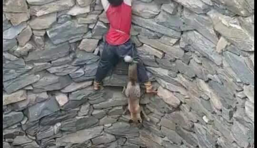حقيقة صورة الطفل الذي ينقذ ثعلبًا من البئر