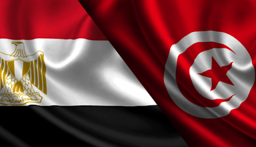 تفاصيل مشروع القرار التونسي في مجلس الأمن حول سد النهضة