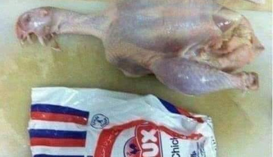صورة الدجاجة غير المذبوحة "قديمة" وليست برازيلية