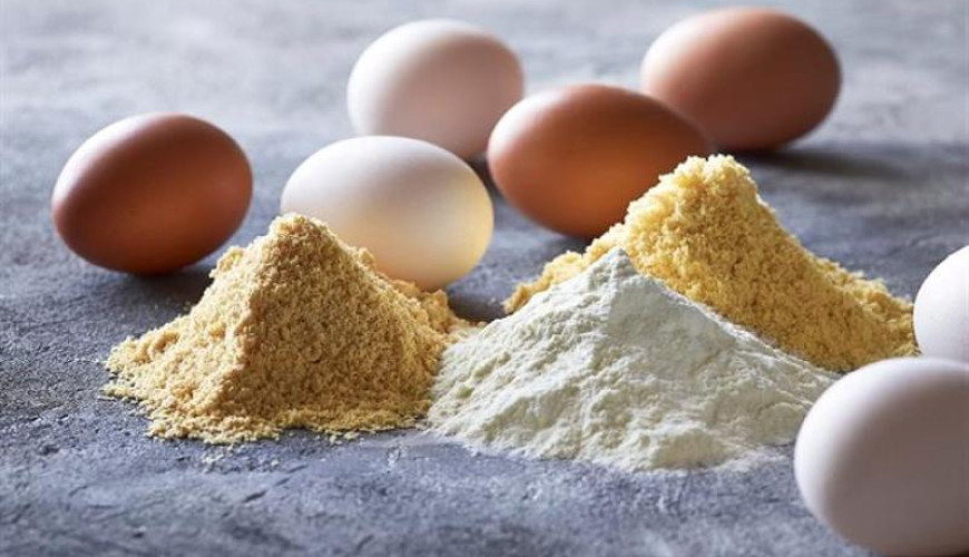 "البيض البودرة" ليس بديلًا لكافة استخدامات البيض الطبيعي وليس أرخص
