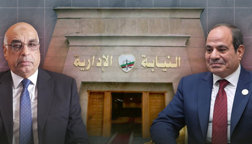 دفعات النيابة الإدارية الجديدة.. "40% من العائلات القضائية و15% من الشرطة والجيش"